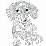 Dog Coloring Pages Weiner Sausage Wiener Color Printable Dachshund Getdrawings Drawing Getcolorings Print sketch template