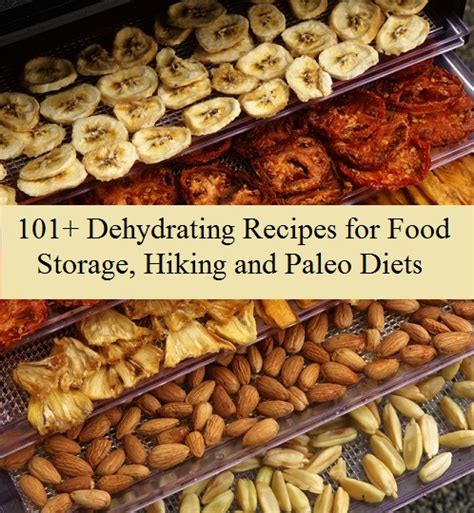 dehydrating recipes  prepared page