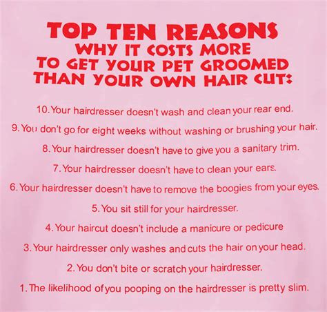top 10 reasons t shirt barkleigh store
