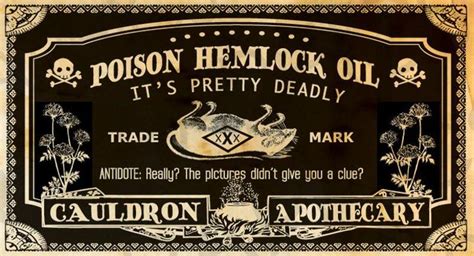 poison bottle labels halloween potion labels poison labels etsy