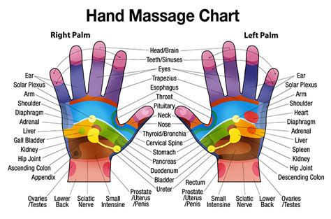 Free Downloadable Hand Massage Chart For Self Healing – Herbalshop