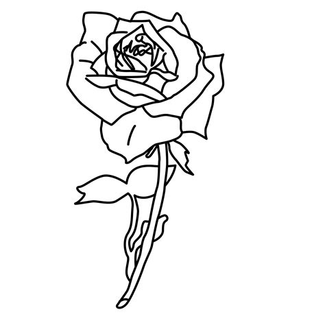 rose coloring page  printable images
