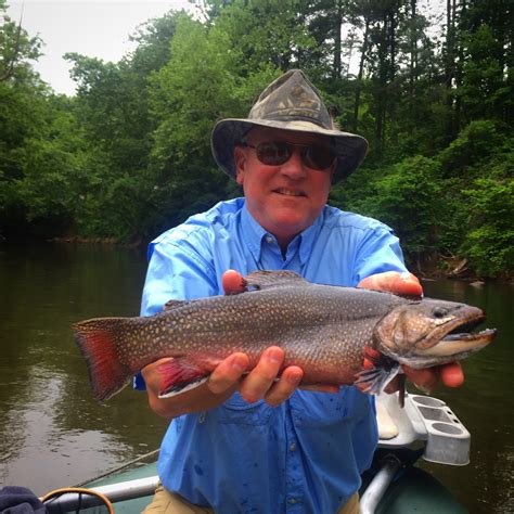 sylva nc fly fishing guides hookers fly shop  guide service