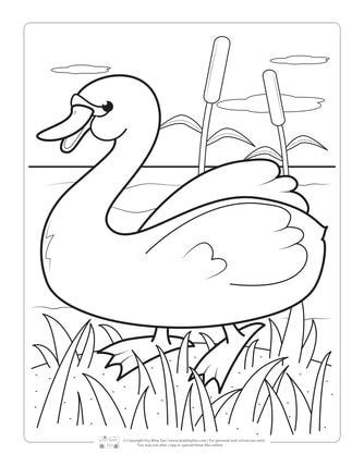 birds coloring pages  kids owl coloring pages bird coloring pages