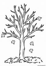 Coloring Tree Fall Pages Printable sketch template