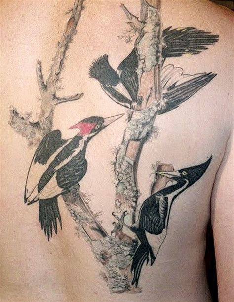 tattoos  extinct  imperiled species