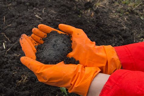 researchers unearth  ticking time bomb synthetic chemicals  soils