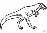 Allosaurus Dino Colorir Ausmalbilder Dinossauro Dinos Alosaurio Ausmalen Malvorlagen Drawing sketch template