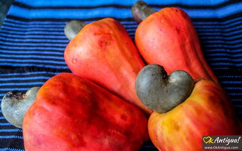 maranon jocote cashew apple guatemalan fruits okantiguacom