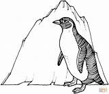Penguin Coloring Pages Penguins Printable Drawing Kids Print Line Clipart Emperor Color Adelie Drawings Cliparts Sheets Library Popular Coloringkids Madagascar sketch template