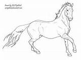 Andalusian Colouring sketch template