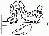 Coloring Pages Bug Cute Caterpillar Animals Popular sketch template