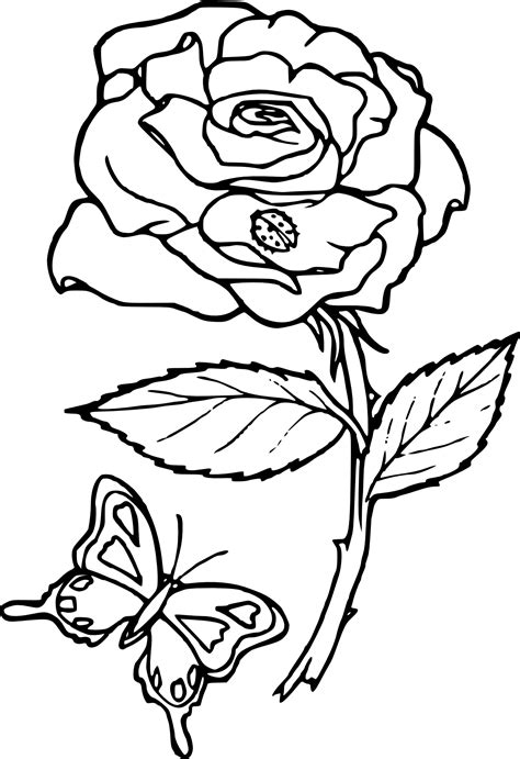 coloriage rose fleur  imprimer
