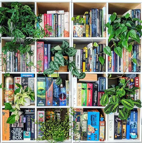 fabulous plant shelfies beautiful bookshelf house plants decor