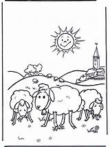 Meadow Sheep Sunshine Funnycoloring Fargelegg Advertisement Farm Og Annonse sketch template