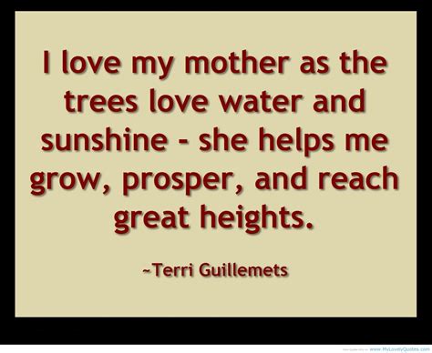 quotes  mothers love quotesgram