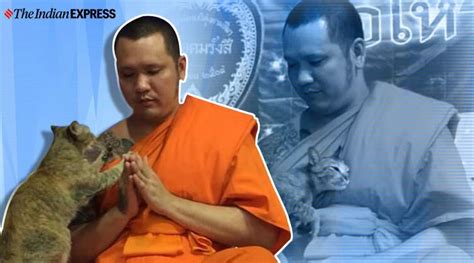 watch cat wins over praying buddhist monk who didn t want to be