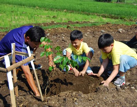 filipino students  plant  trees     graduate