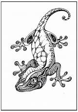 Gecko Tattoo Lizard Drawing Deviantart Zentangle Mandala Animal Geckos Coloring Vector Sketches Pages sketch template