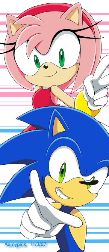 team sonic and amy sonic and amy sonic sonic boom amy