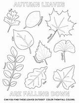 Coloring Fall Leaves Leaf Pages Autumn Sheets sketch template