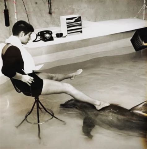 Маргарет Хоу Ловатт и её интимная связь с дельфином Пикабу