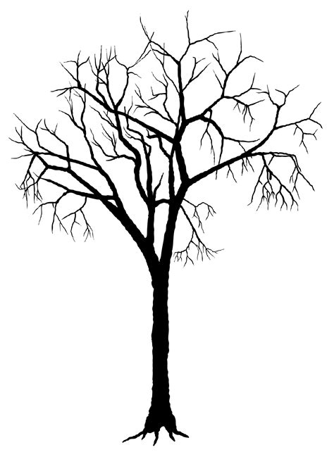 simple tree silhouette   simple tree silhouette png images  cliparts