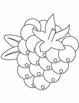 Blackberry Coloring Pages Branch Getdrawings Drawing Printable sketch template