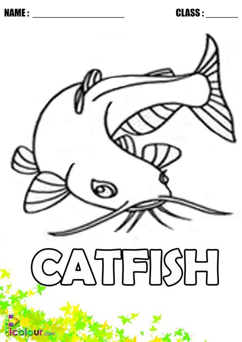 catfish colouring pages  kids printable printables kids