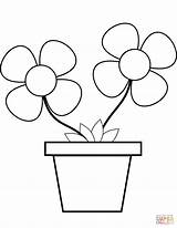 Coloring Pot Pages Flowers Drawing Printable sketch template