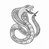 Zentangle Snake Schlange Serpente Colorir Kobra Progettazione Coloritura Slang Kleuring Tatuaggio Adulta Snakes Maglietta Linee Pulite Ornamento Sforzo Skull sketch template