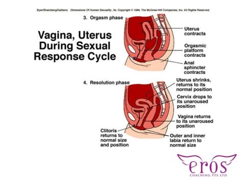 cervical uterine orgasm pics and galleries