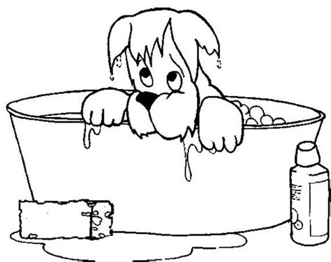 dog soaking wet     bath coloring pages bulk color