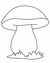 Mushroom Mushrooms Funghi Fungi Coloringpagesfortoddlers Modelli Disegnare Acorn Porcini Disegno Artigianato Mosaico Opere Strofinacci Disimpan sketch template