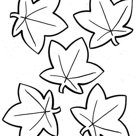 pin  hojas de otono