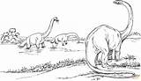 Brachiosaurus Colorare Brachiosauro Dinosaur Dinosaurs Disegni Lago Ausmalbild Barosaurus Gallimimus Jurassic Ausdrucken Dinosauri Long Kostenlos sketch template