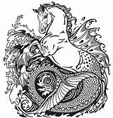 Kelpie Hippocampus Mythological Seahorse Creatures Uw360 Hippocamp Myth sketch template