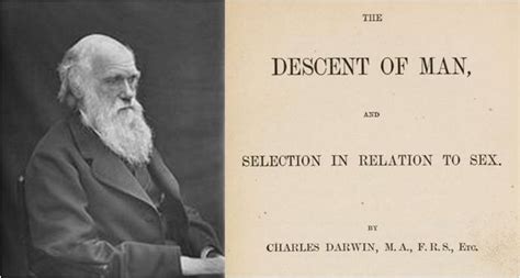 Books And Films The Descent Of Man And Selection In Relation To Sex