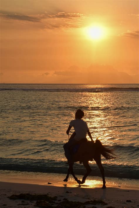 무료 이미지 남자 바닷가 바다 연안 모래 대양 수평선 실루엣 해돋이 일몰 햇빛 아침 육지 웨이브