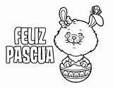 Pascua Feliz Pascuas Felices Deseo Pasqua Niños Conejo Huevos Buona Preescolar Fiestas Celebracion Easter Acolore sketch template