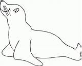 Anjing Mewarnai Laut Putih Sketsa Lucu Coloringall Fur sketch template