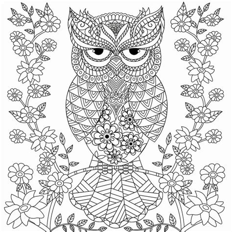 owl coloring books  adults elegant owl coloring pages  adults