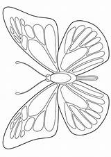 Morpho Momjunction Mariposas Borboleta Colorir Borboletas Colorear24 Acessar sketch template