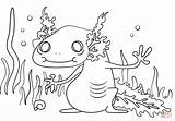 Axolotl Coloring Pages Cartoon Kids Printable Animal Designlooter Neds Newt Drawing 1186 41kb sketch template