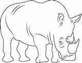 Nashorn Ausmalbilder Zoo Rhino Ausmalen Tiere Horned Malvorlage Coloringpages101 sketch template