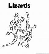 Coloring Lizard Frilled Getcolorings sketch template