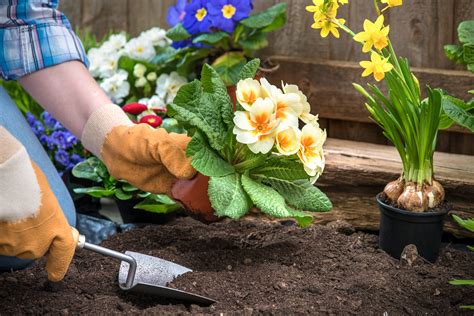 therapy center preventing injury helpful tips  gardening