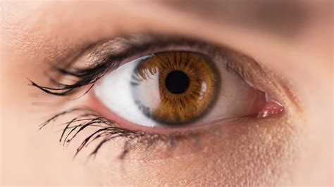 human eye pictures images  stock  istock