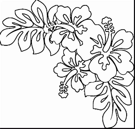 hawaiian flower coloring page unique hawaii flowers drawing