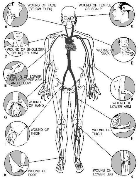 image result for pressure points to knock someone out survival skills